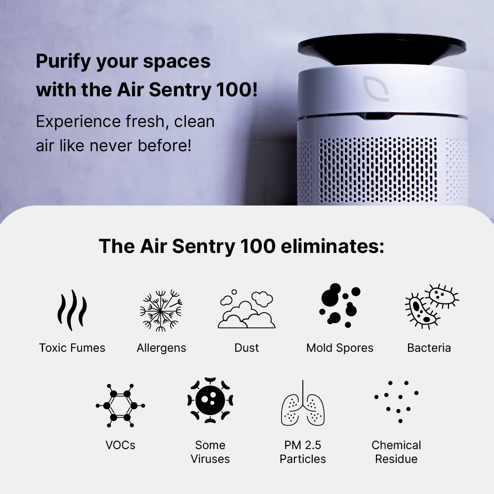 Air Sentry 100