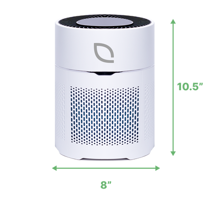 Air Sentry 300