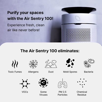 Air Sentry 100