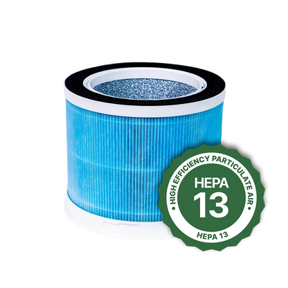 Air Sentry Replacement Filters
