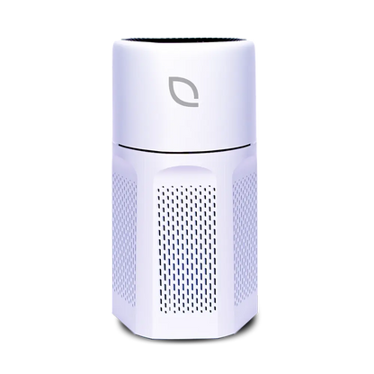 Air Sentry 500