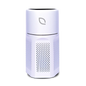 Air Sentry 500